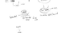 A/R and Bad Debts Introduction